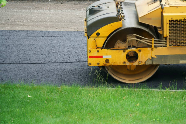 Best Driveway Pavers Cost  in Carrollton, TX